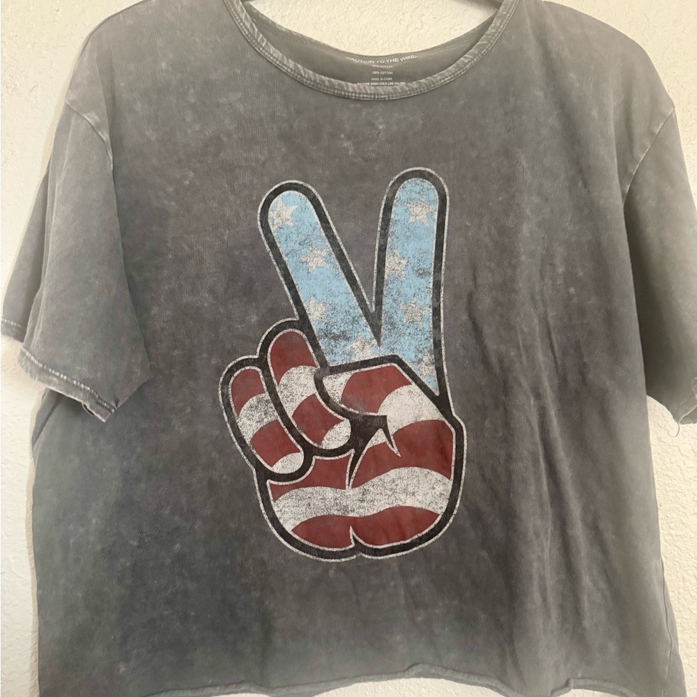 Caution To The Wind Peace Graphic Crop Top - Gray